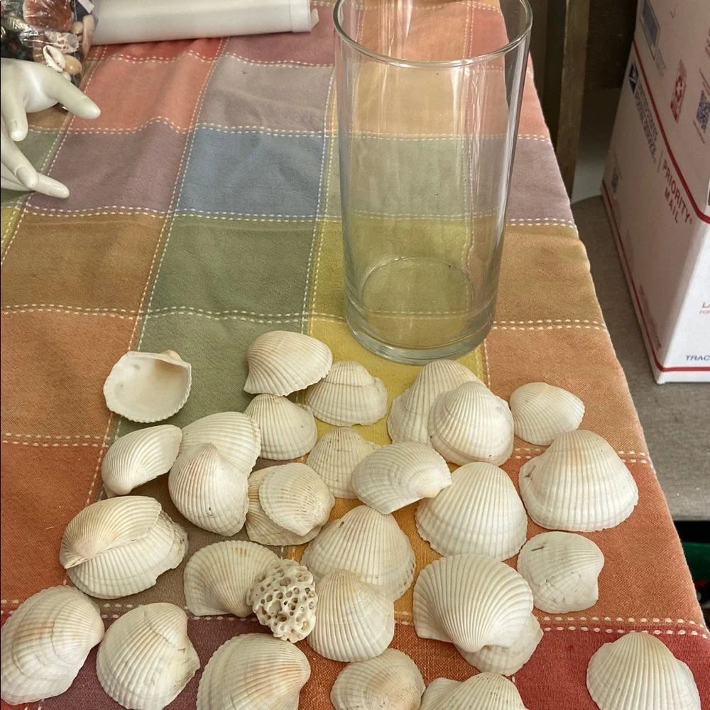 Vintage Seashells & Coral! In a Glass jar - Picture 7 of 7
